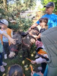 received_450426651010106