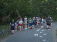 Wycieczka w Parku Dinozurów.