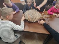 6. Uczniowie z najeżką