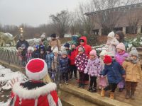 10. Wycieczka przy stawie złotej rybki