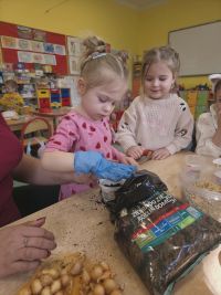 3. Zosia sadzi rośliny