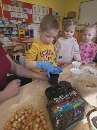 6. Jaś sadzi rośliny