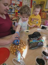 7. Olek sadzi rośliny