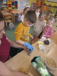 10. Leon sadzi rośliny