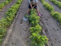 8. Nagroda w kategorii Jak mówić, żeby dzieci nas słuchały
