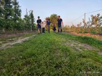 13. Nagroda w kategorii Życie na pełnej petardzie